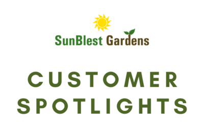 Customer Spotlights